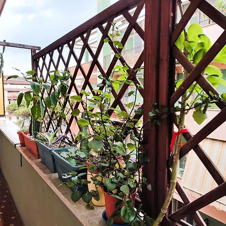 Euforbia House Apartment Лидо ди Остия Екстериор снимка